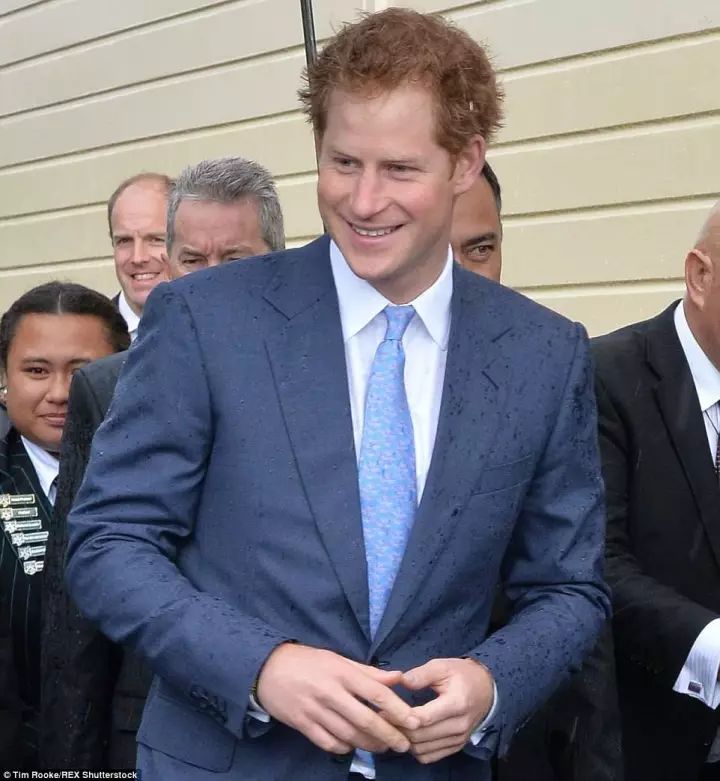 叛逆王子英国,最叛逆的王储查尔斯