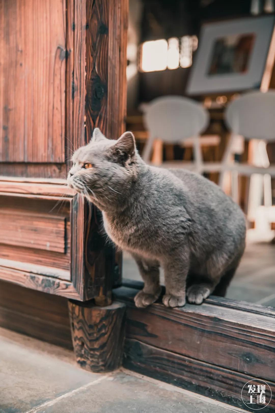 松江千年古镇,松江上海之源