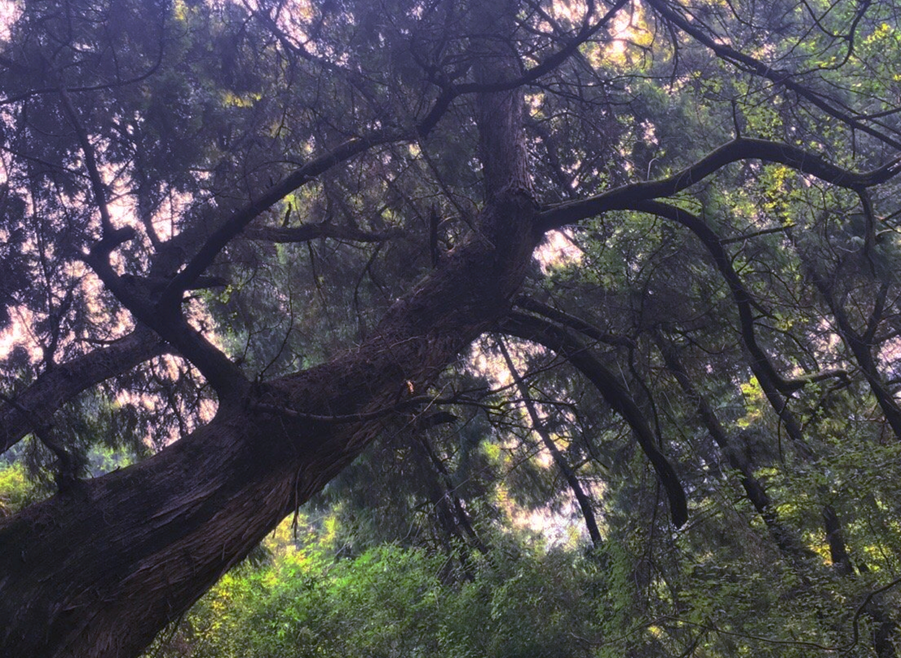徒步峨眉山清音阁一线天风景,成都周边最美山峰徒步