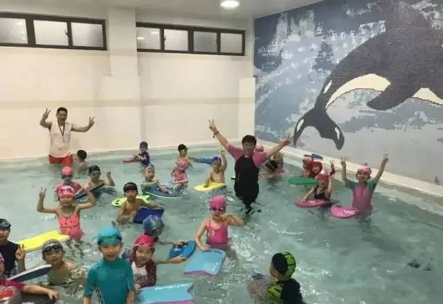 虹口游泳学校成人可以学习吗,杨浦游泳学校幼儿班