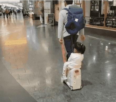 旅行箱网红爆款,网红旅行万向轮拉杆行李箱