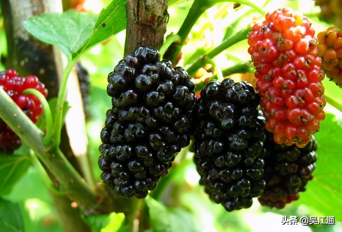 一家三代都是我的女人,我们家的女人越来越多