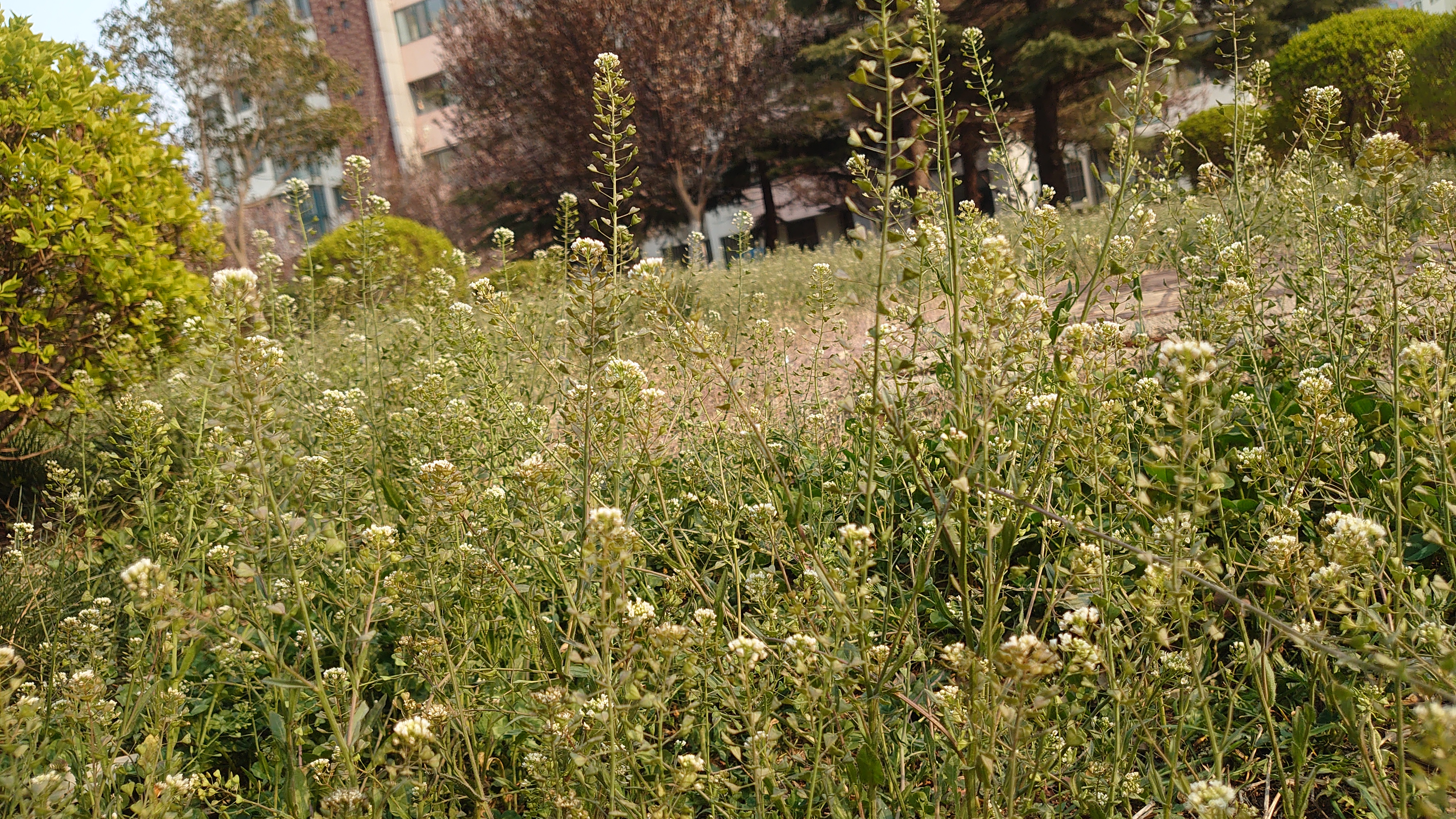 索尼微单手机xperia5i,索尼xperia5ii深度评测