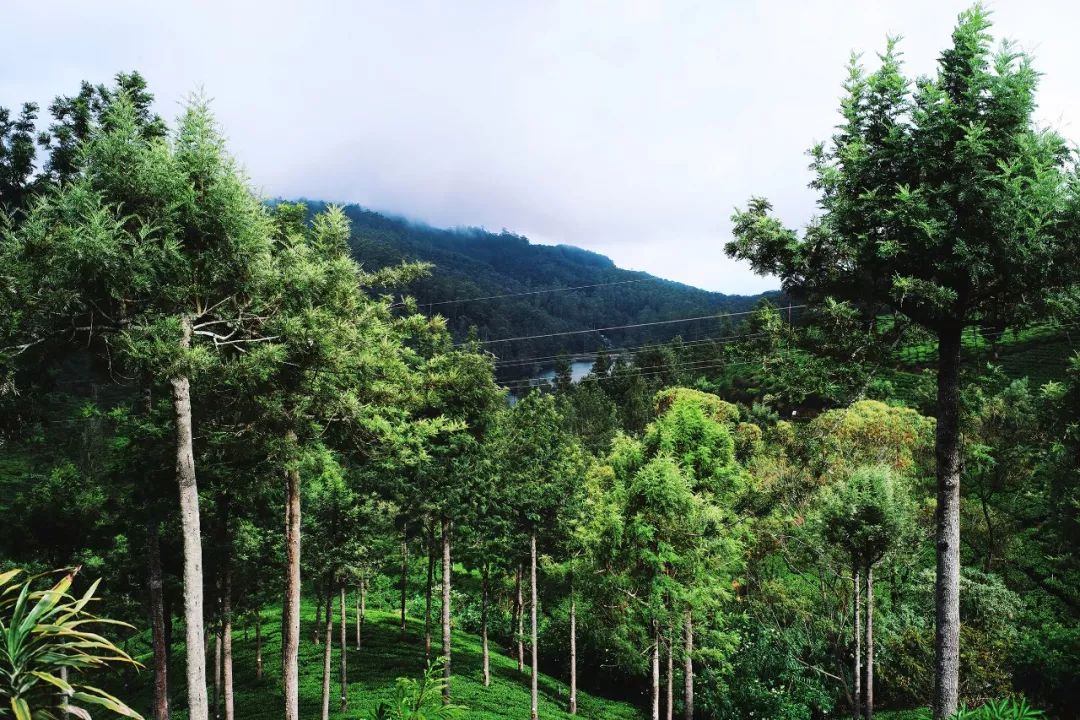 这个曾数次登上LP榜单的微笑国度，还有众多小众酒店值得睡