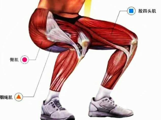 深蹲练到全身,深蹲的正确姿势练腿