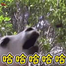 氨基酸美白净润洁面测评,夏可叔叔扒雪花秀