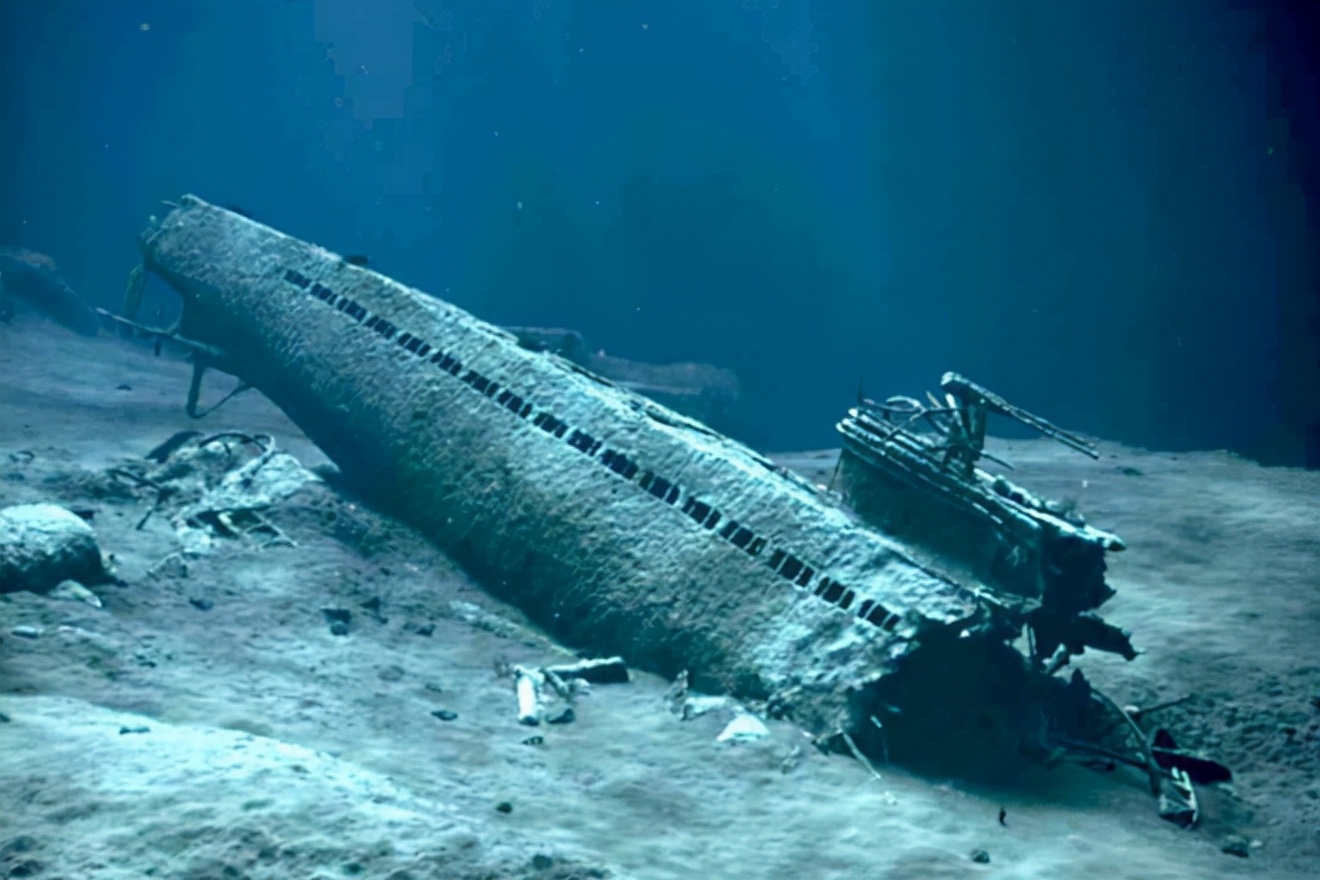 鲸鱼潜到深海不会砸碎藤壶吗,鲸鱼能潜入水下多少米