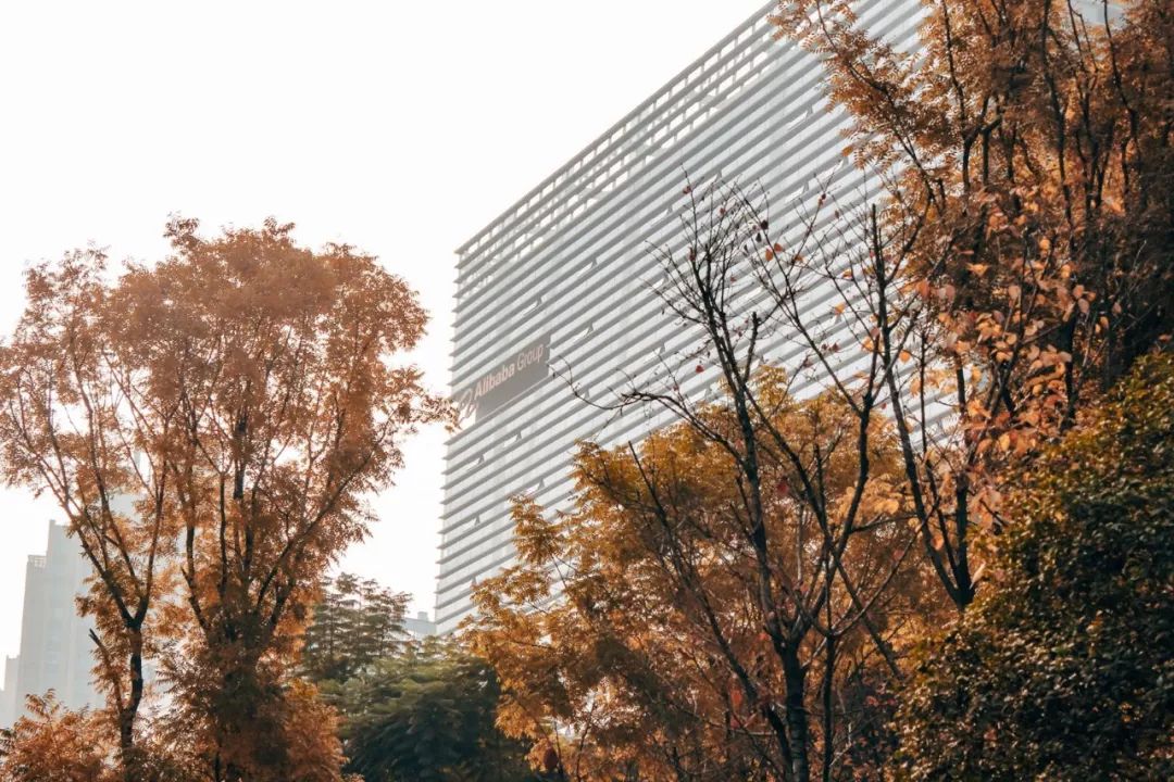 成都最贵的街天府二街,成都最真实探店