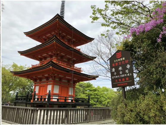 来到日本不能错过章鱼小丸子,来东京不能错过的地方