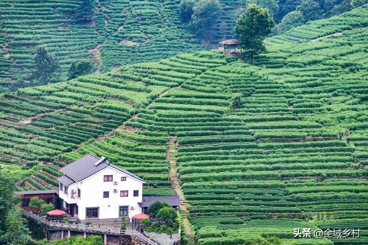 西湖十景最美的是哪个,西湖十景哪一个景点最美