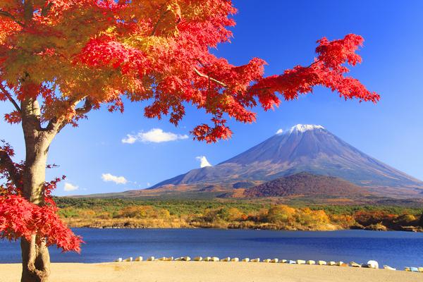 驴妈妈优惠券,驴妈妈门票团购蓬莱极地海洋世界