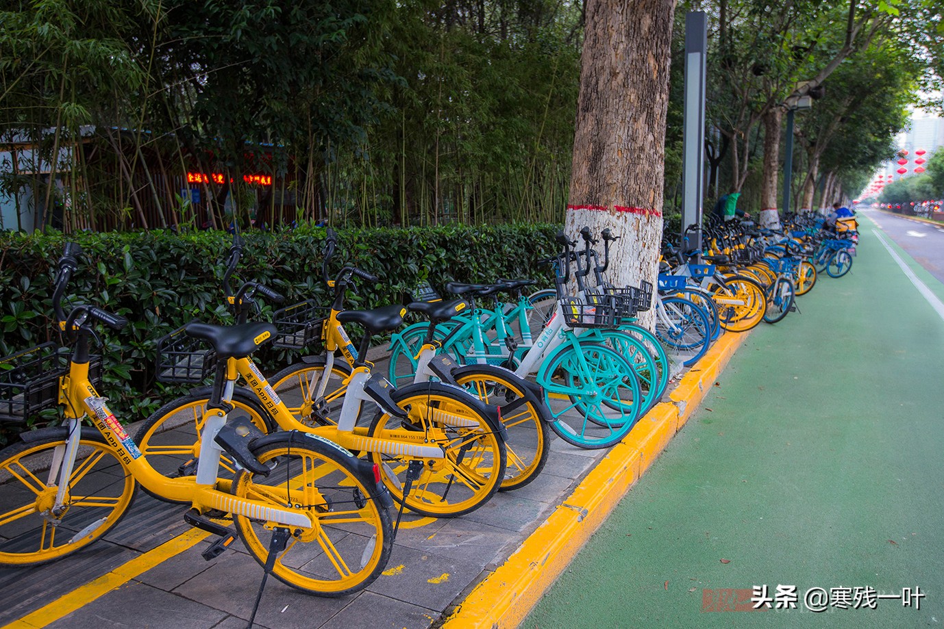 大度的西安，成公共自行车在国内发展最好的城市，全城人都在骑