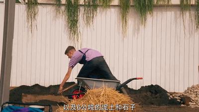 这也能拍出花?网飞又开挂了,每集都让我惊掉下巴