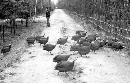 全国十大奇葩高校,奇葩高校盘点