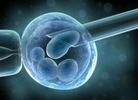 试管婴儿打夜针常识,试管婴儿常识2012