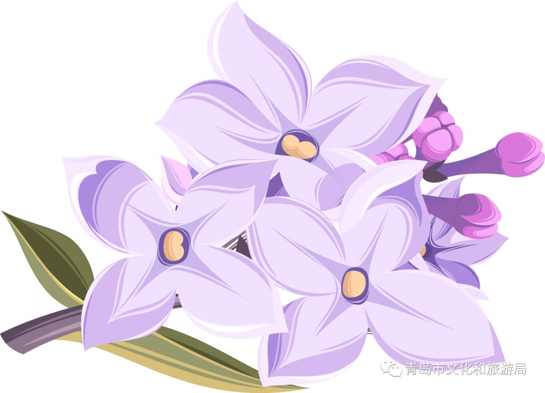 识花赏花学知识,赏花识花学知识