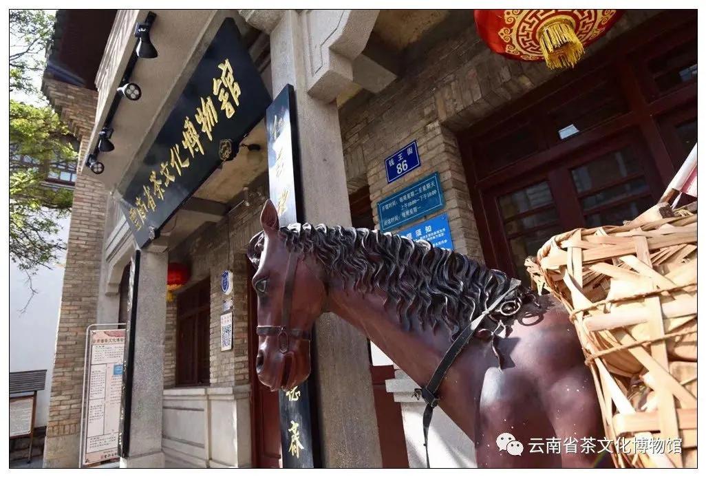 昆明动物博物馆免费开放时间,昆明博物馆和云南博物馆哪个好