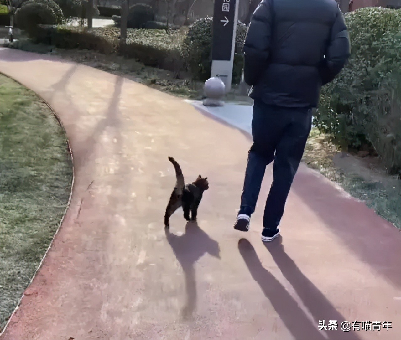 男子报警21岁喜当爹,男子喜当爹做了一件荒唐事