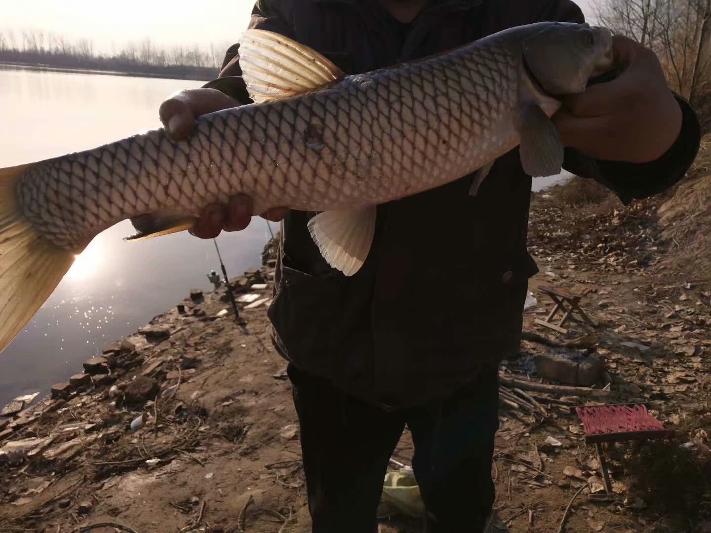 渔具线上和线下的区别,渔具在淘宝买还是京东买