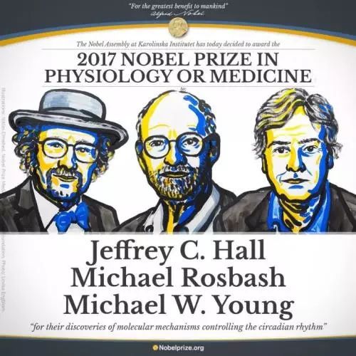 全世界多少人失眠,全世界大概有多少人失眠