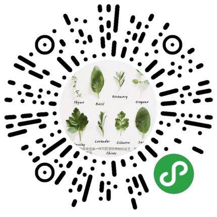 香草花园（1）|享受采摘薄荷和使用新鲜香草来调味乐趣