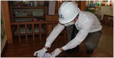专业白蚁防治价格,防治白蚁最好的方法