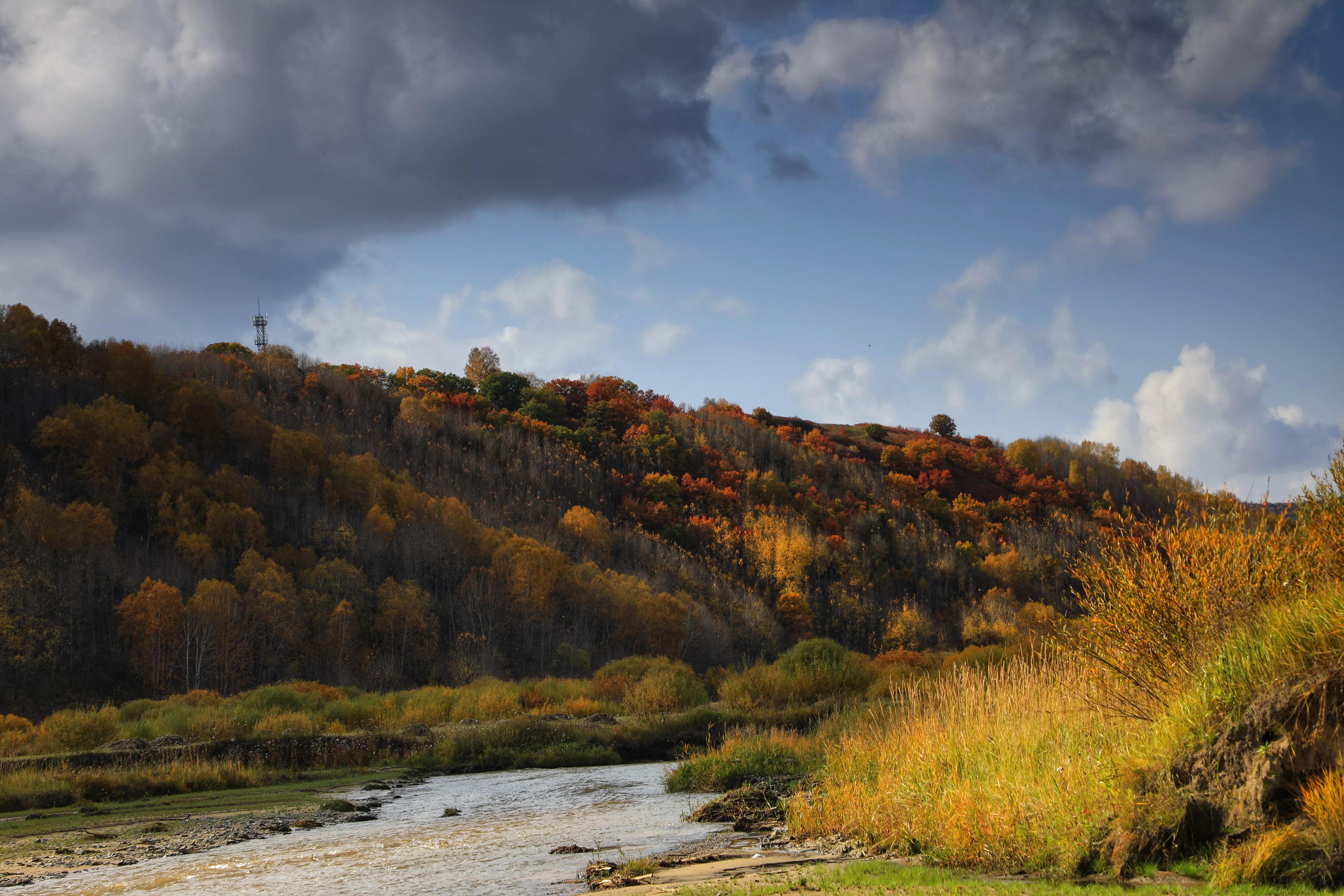 坝上秋色草原,坝上草原游记作文