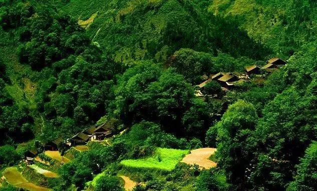 梦中的菜园小视频,我的梦中菜地