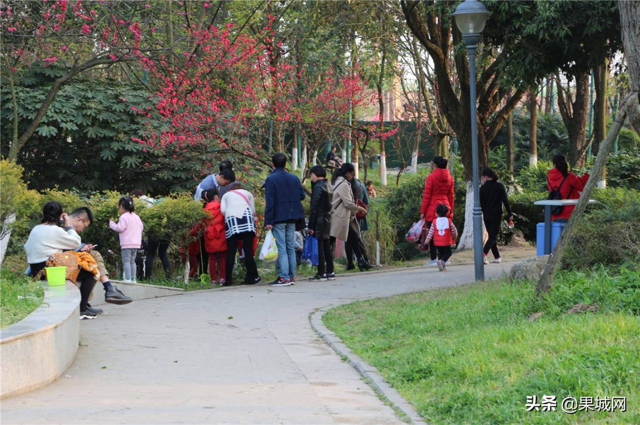 四川南充：春暖花开捉蝌蚪，殊不知带回家的可能是癞蛤蟆