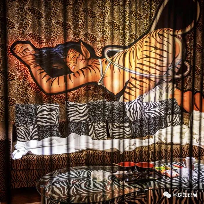 什么是“台湾爱情旅馆”？|地球知识局