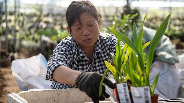经常吃逍遥丸可以使气色变好吗,女人长期吃逍遥丸真的能淡斑吗