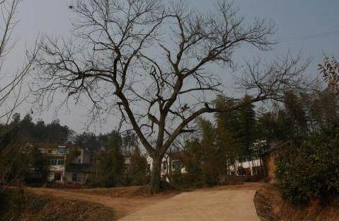 在外打工儿子不跟我亲,外地打工回家儿子不认识