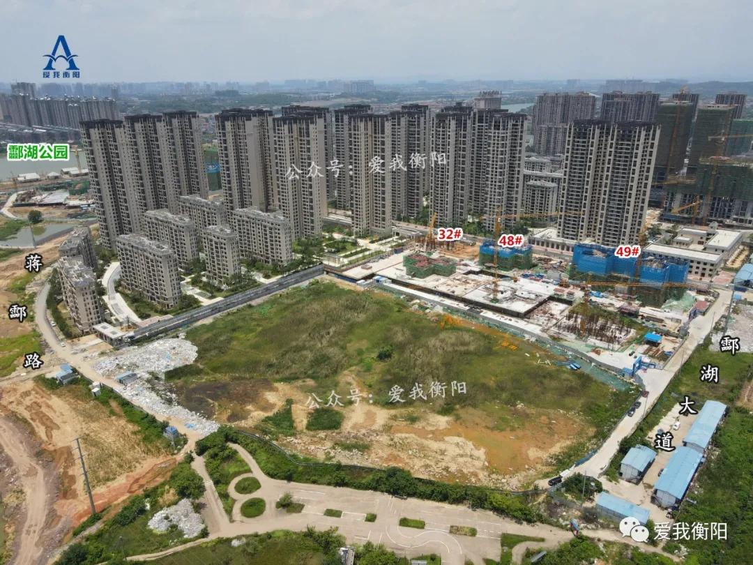 优缺点大评比!酃湖新城10个盘怎么选?