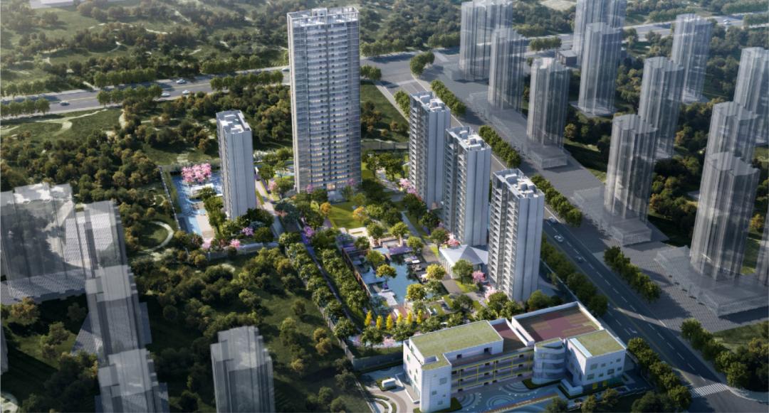 焦虑的molly,焦虑的抹茶拿铁