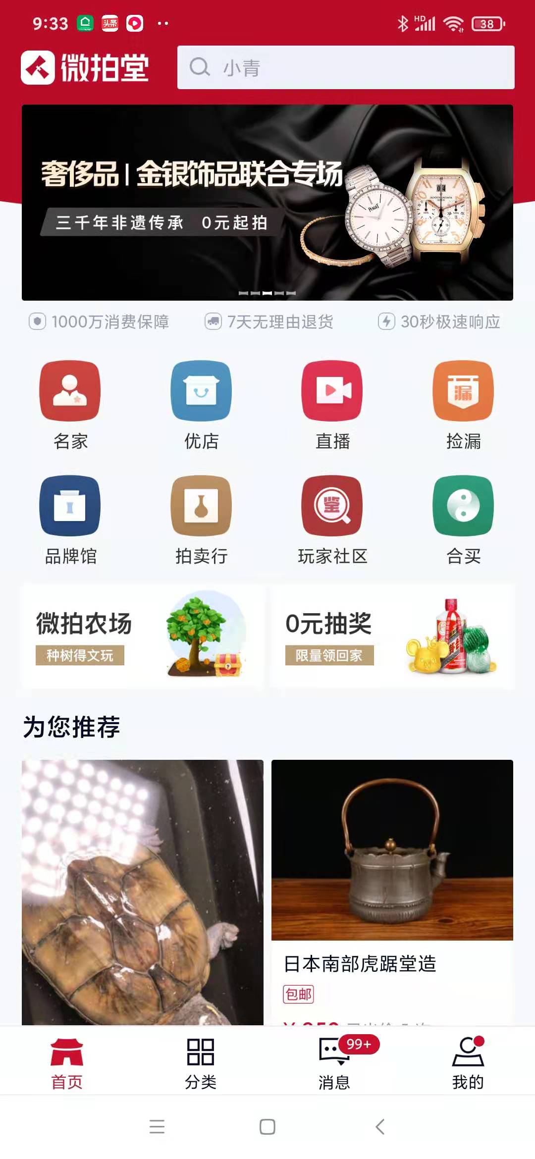 新手在哪里买龟好养活点,宠物龟在什么地方卖好呢