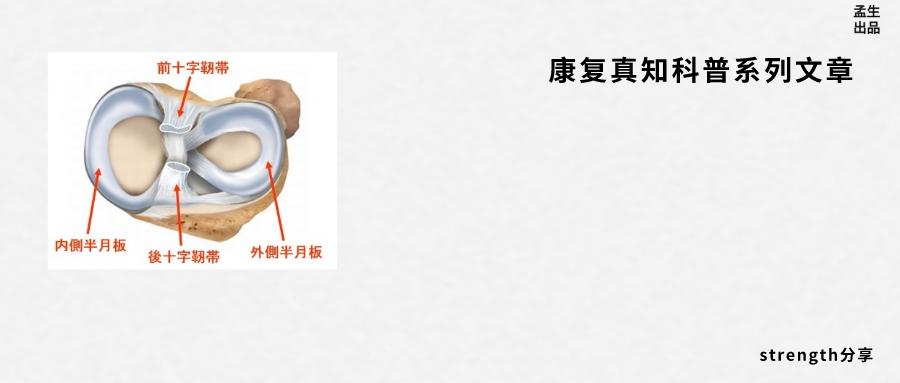 恶名昭彰小说,恶名昭著劳伦斯