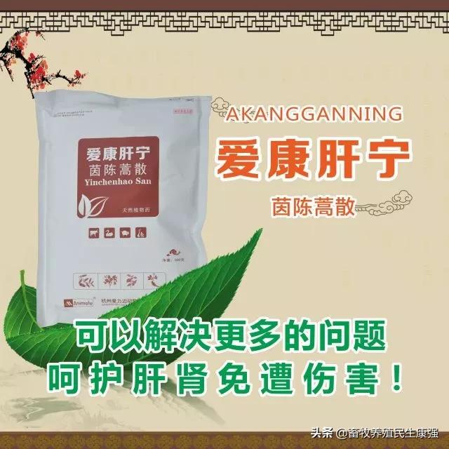 关于牛羊养殖出现问题,牛羊生产与疾病防治