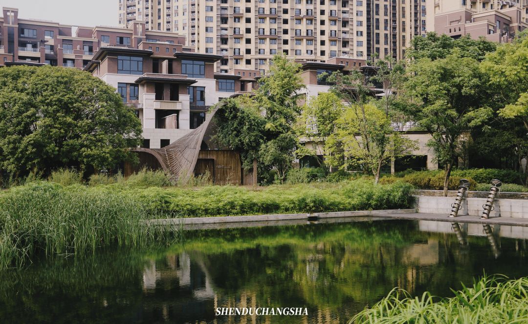 长沙秋季旅游景点推荐,长沙旅游攻略必玩的十大景点推荐