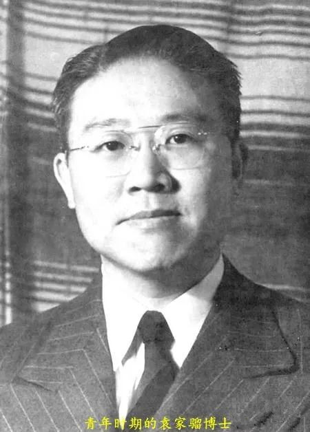 袁世凯孙子袁家骝是哪个儿子生的,袁世凯后代袁家骝