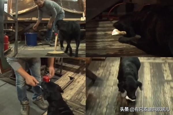 烧烤店迎客递菜单打扫好辛苦？黑拉拉：让专业的来！