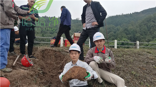 重庆灭白蚁公司,重庆杀白蚁咨询