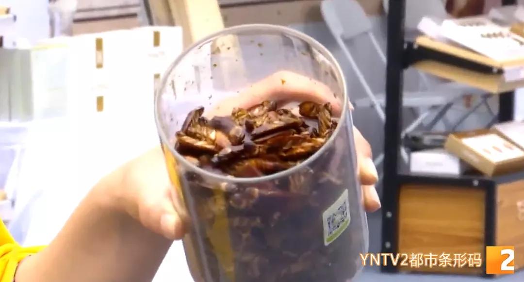 云南山货夏威夷果,云南哪里的夏威夷果比较出名