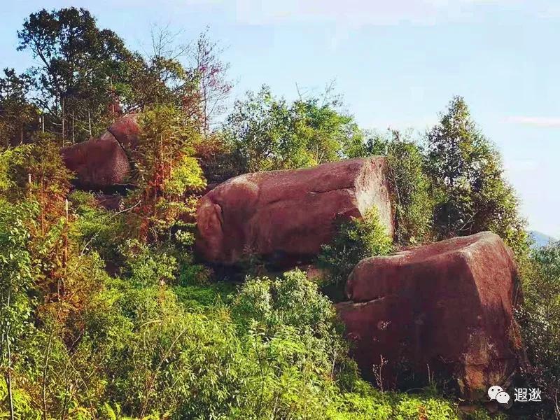 温州居然有这么美的小众景点,温州青龙山风景区在哪里