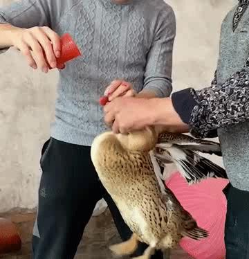 广西河池照片,广西河池图片大全