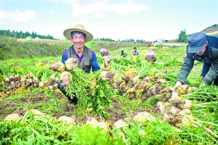 庆丰收感党恩山东各地丰收节活动,庆丰收感党恩宴席背景图片