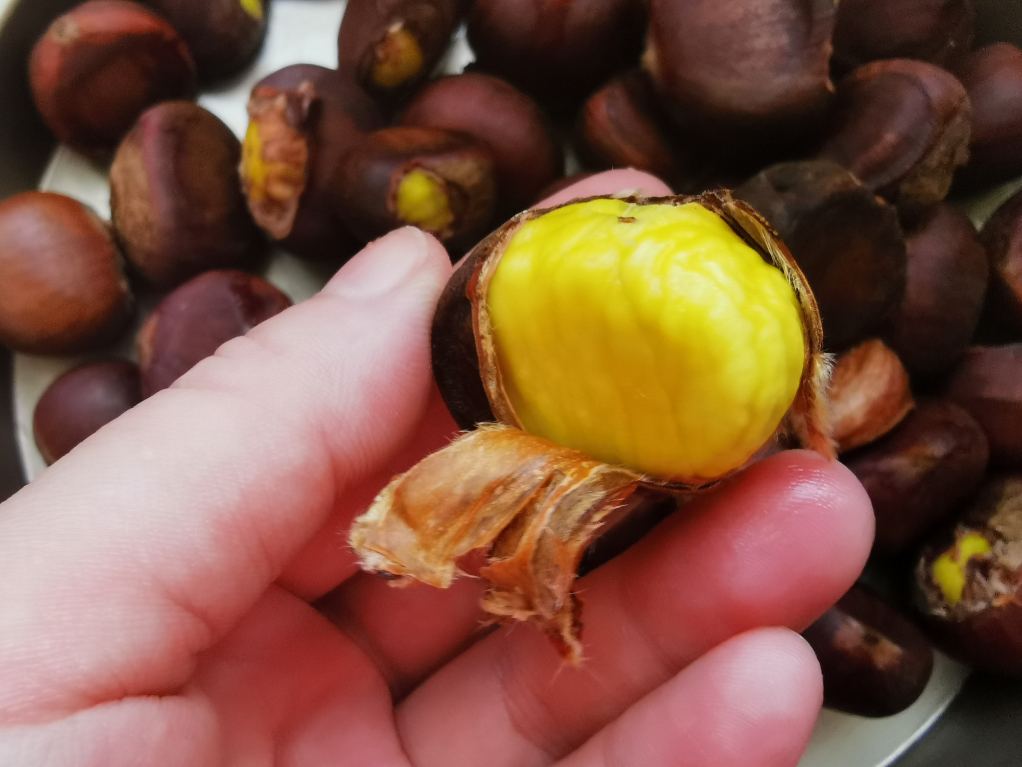 板栗怎么炒好吃板栗去壳妙招,生板栗快速去壳