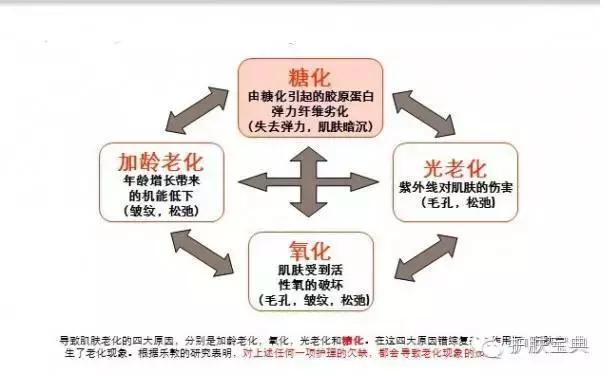 泽佳抗衰老精华,泽佳的抗衰老方法