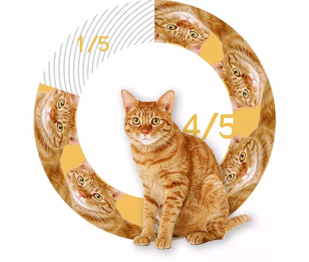 鑷粠鏈変簡鐚不鎰堜簡鎴戠殑鎳掓儼,涓轰粈涔堣姗樼尗鍗佹涔濇福