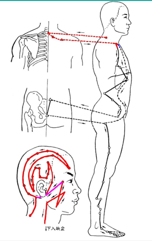 把穴位像药物一样分类后,运用竟如此简单