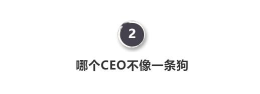 看完《燃点》，创业这么苦逼的事，检测狮还是干了